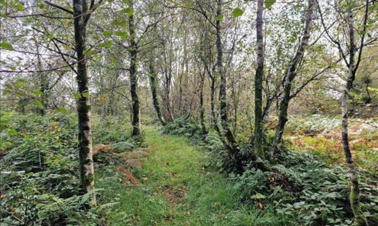 Land off Chapel Lane, Llanteg, Narberth, Pembrokeshire (POM1001685)